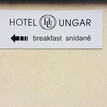 Hotel Ungar スヴィタヴィ エクステリア 写真